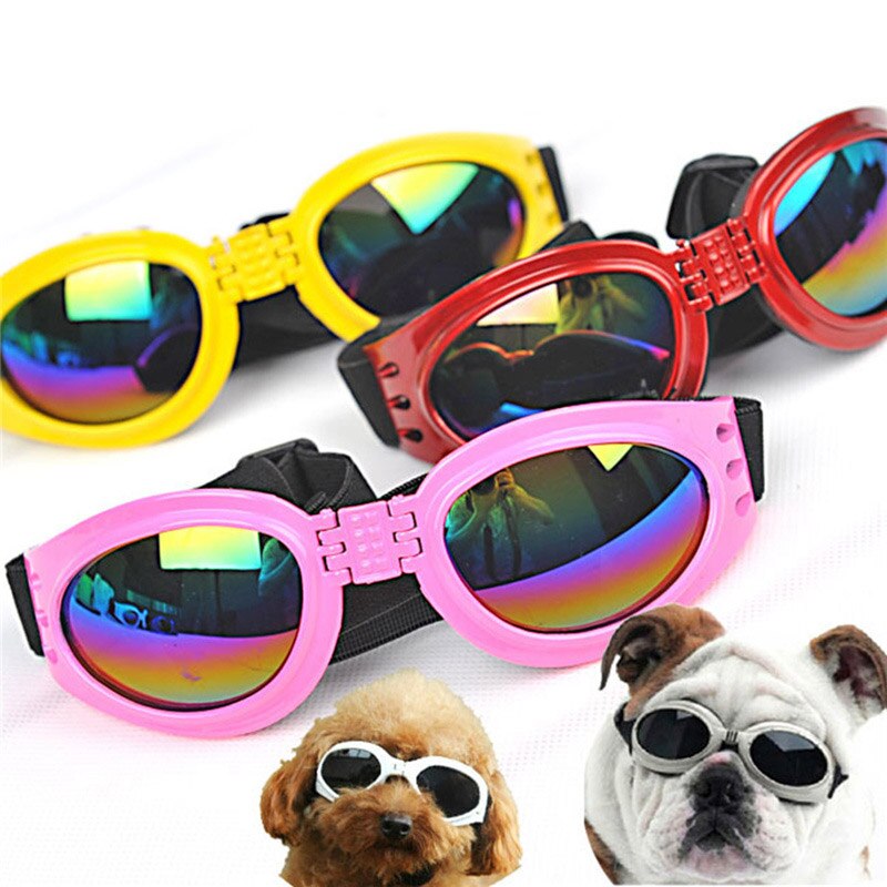 عینک آفتابی حیوانات خانگی | می مد