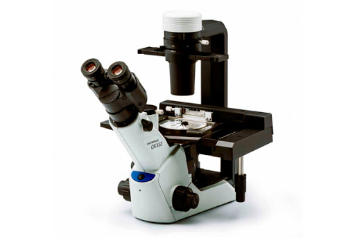 میکروسکوپ بیولوژی اینورت مدل Olympus CKX53