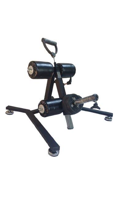 فیزیولگ | می مد